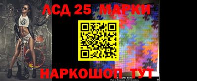 прущие грибы Краснокаменск