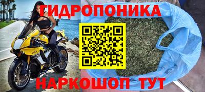 прущие грибы Краснокаменск