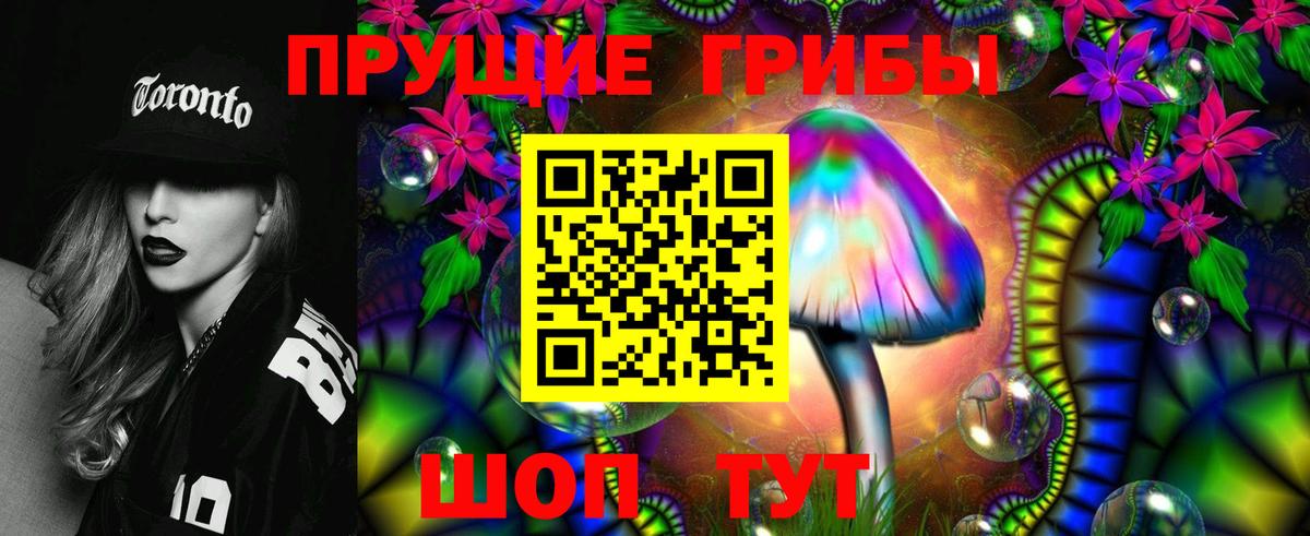Коммунар  Псилоцибиновые грибы мухоморы  Вход с VPN 